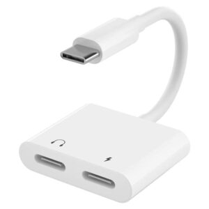 USB-C to Dual USB-C Adapter