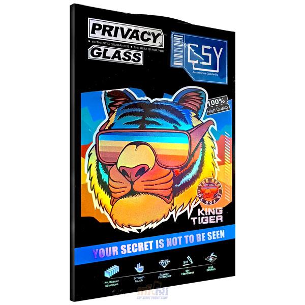 CSY Screen Privac glass