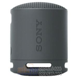 Sony SRS-XB100 Compact Bluetooth Wireless Speaker