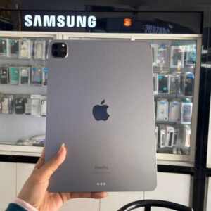 Used iPad Pro 11 M2 256GB SIM+WiFi 99%