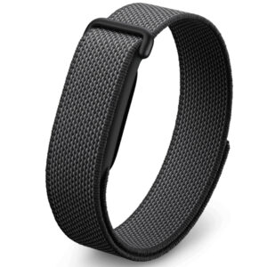 Google Fitbit Air