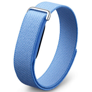 Google Fitbit Air