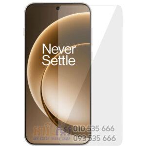 Screen Glass for OnePlus 15
